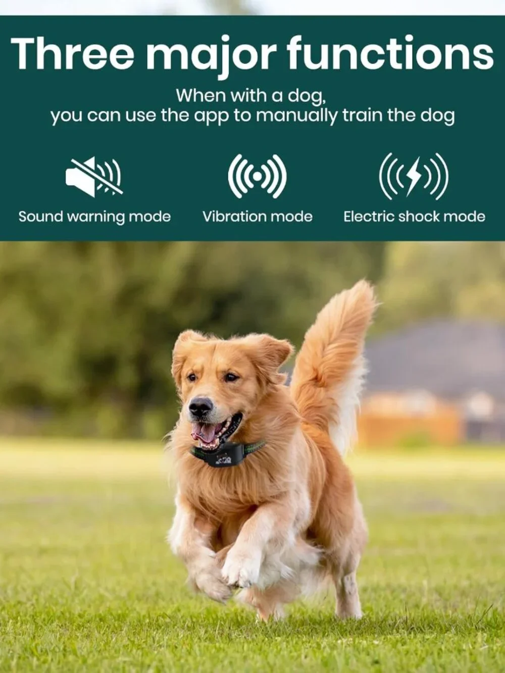 GPS Dog Electronic Fence, Wireless Training Collar- No Subscription Required